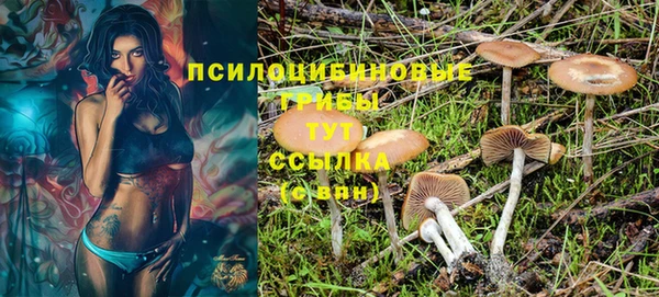 прущие крисы Балахна